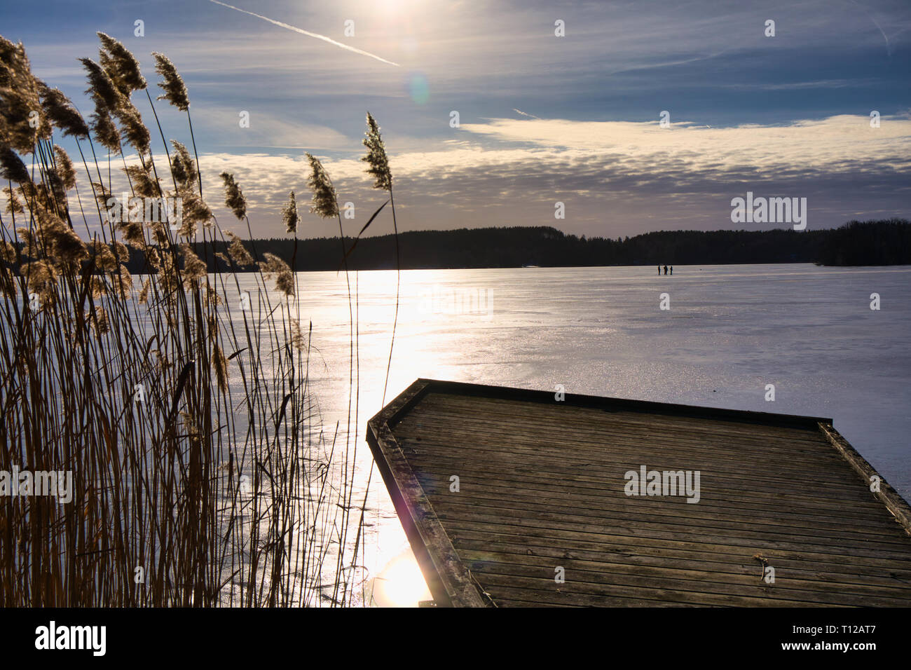 Schilf und Holzsteg mit Schlittschuhläufer im Hintergrund, der See Malaren, Schweden, Skandinavien Stockfoto