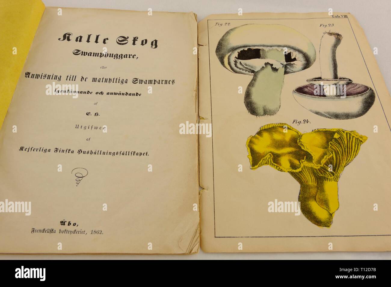 Kalle Skog, Swamphuggare. Anwisning bis De matnyttiga Swamparnes anwändande igenkännande och von Eduard Hisinger, 1862. Die ersten veröffentlichten Pilz Stockfoto