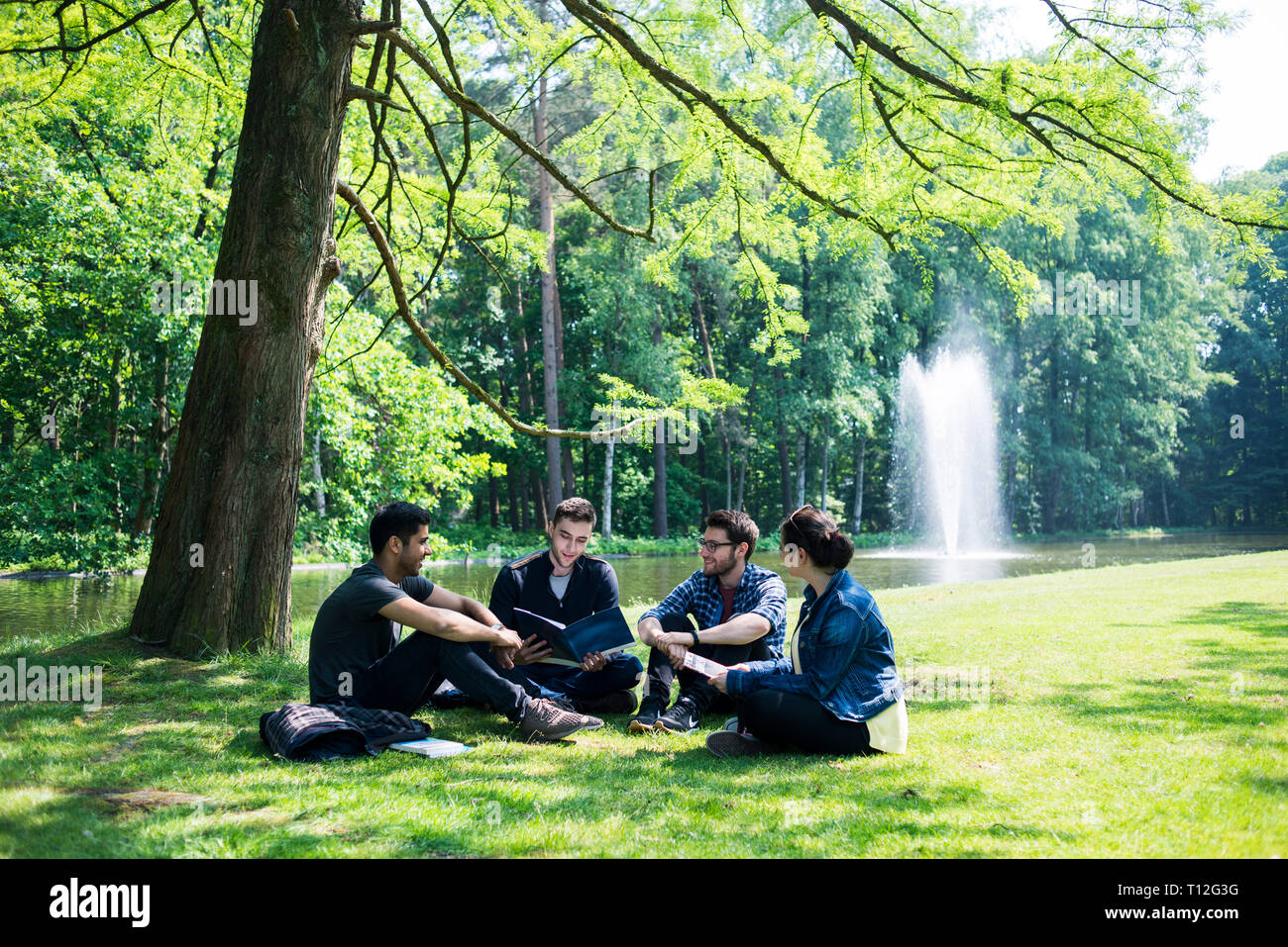 Eine Gruppe von jungen, internationalen Studenten sitzen draußen auf College Campus unter einem schattigen Baum auf dem Gras Stockfoto