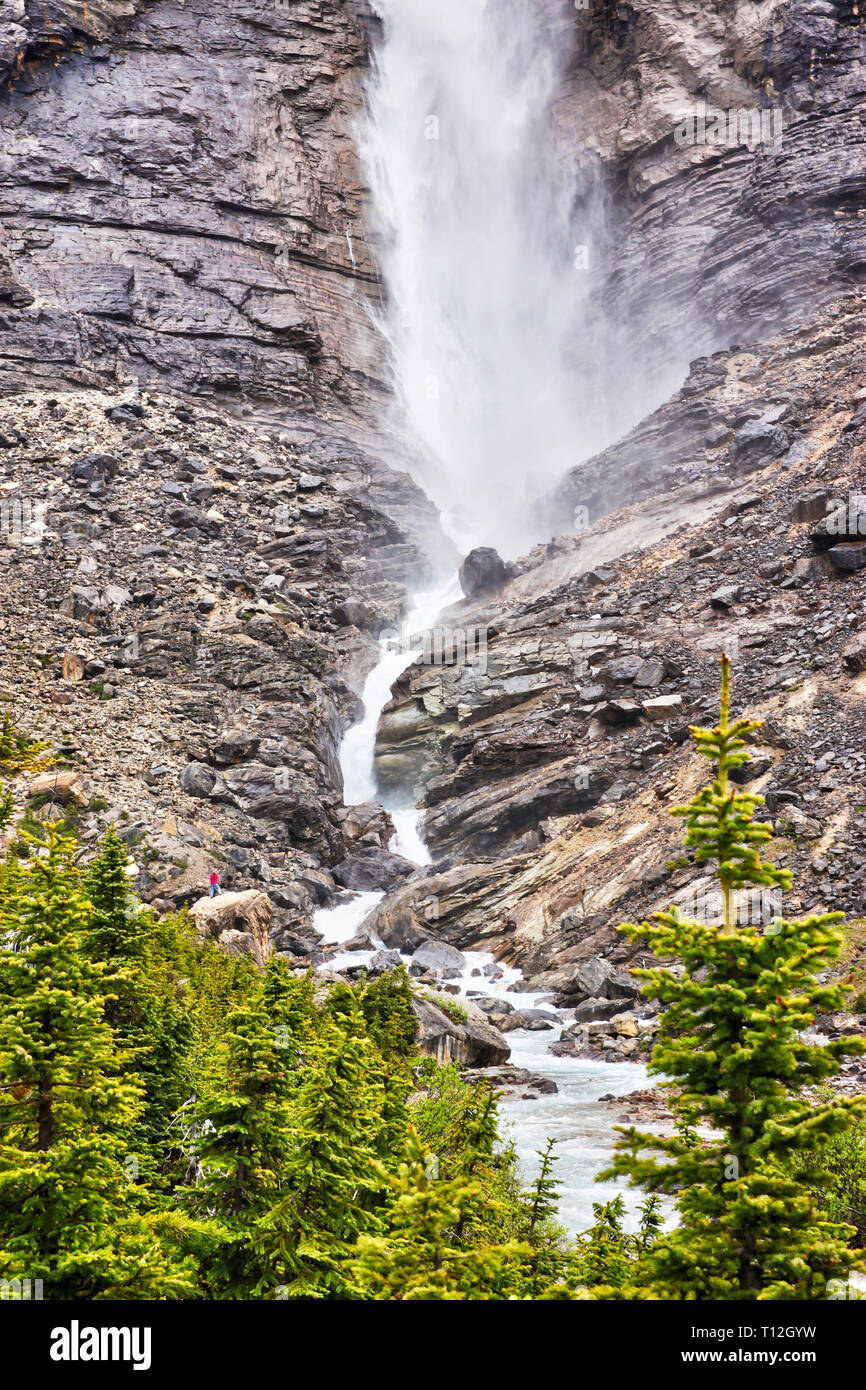 Basis der Takakkaw Falls in den Yoho Nationalpark in der Nähe von Feld, British Columbia, Kanada, mit seinem Gletscher - FBI-Wasser in den Kicking Horse River fließt. T Stockfoto