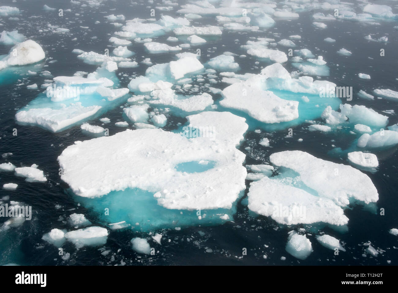 Schwimmende Eis auf dem Ozean in Prins Christian Sund, Grönland Stockfoto