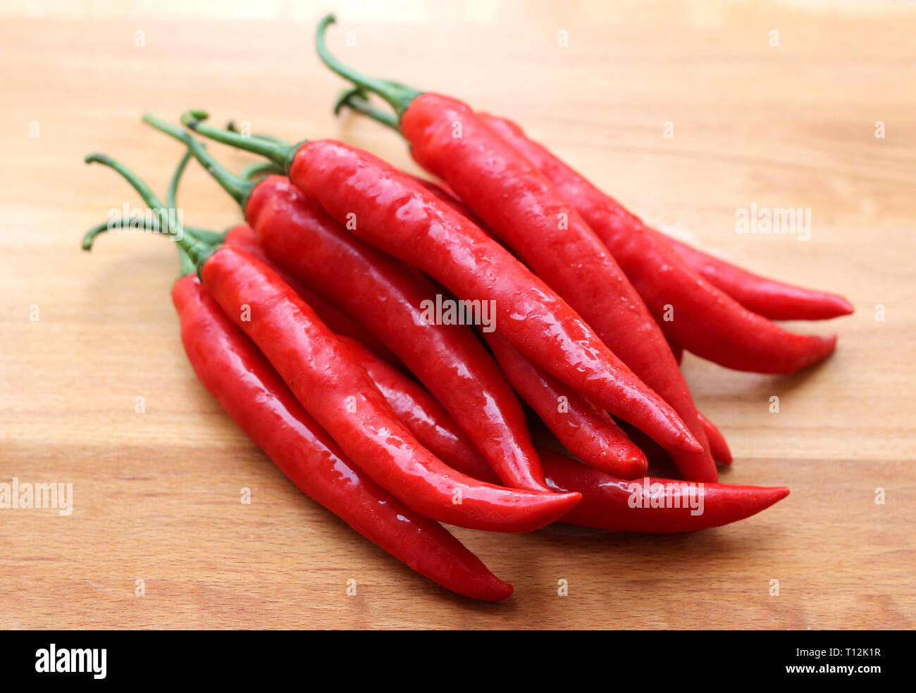 Rote Chilischote Stockfoto