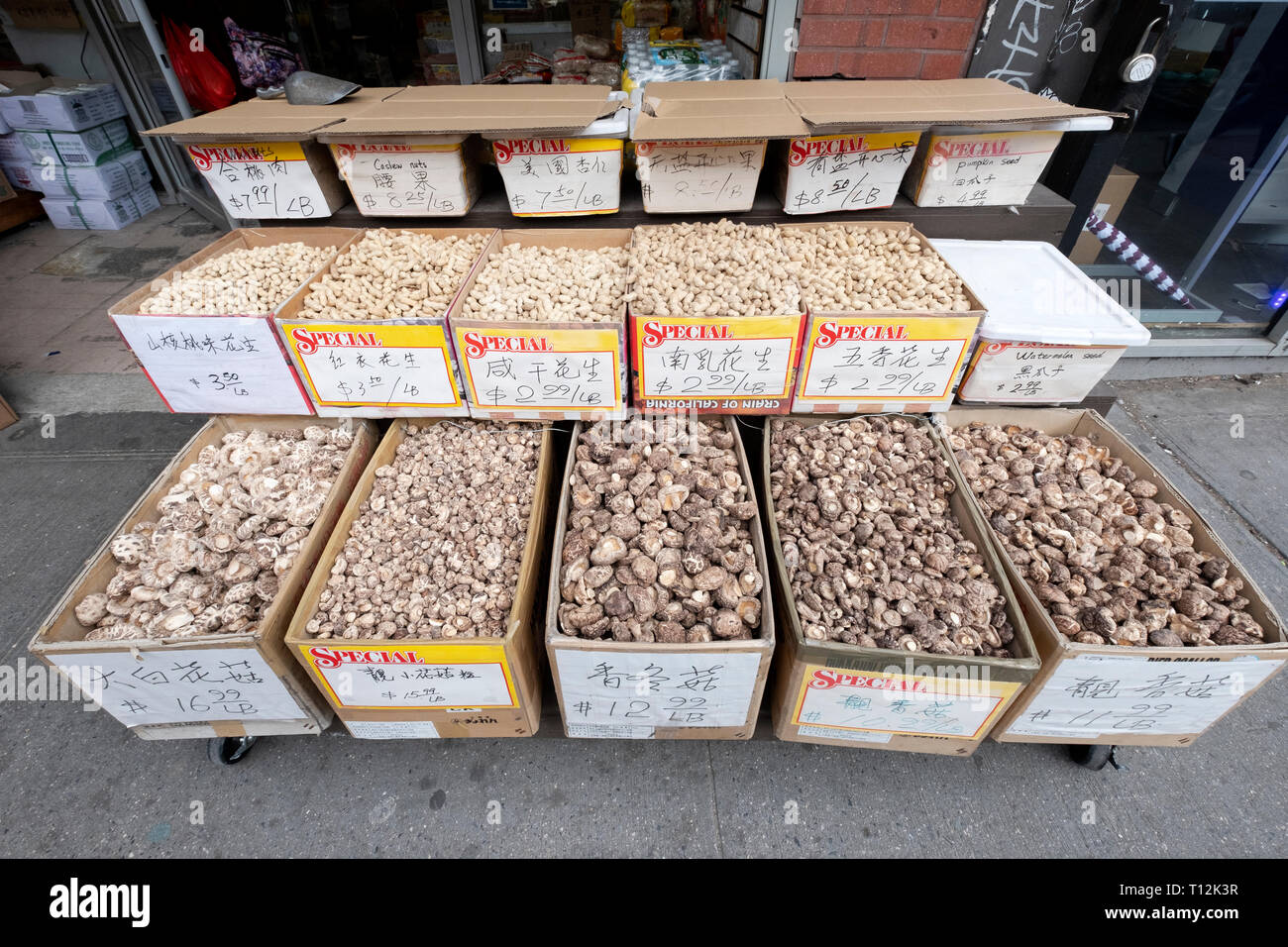 Eine Auswahl von verschiedenen Arten von Pilzen für Verkauf an den Ginseng Handelsunternehmen in Chinatown, Downtown Flushing, Queens, New York Stockfoto