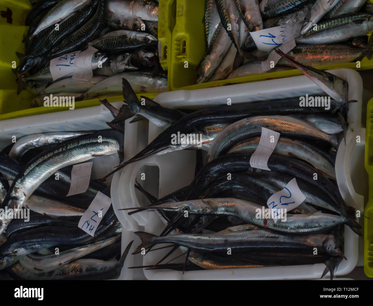 Vielfalt an Fischen in Kunststoffbehältern an einer Auktion Stockfoto