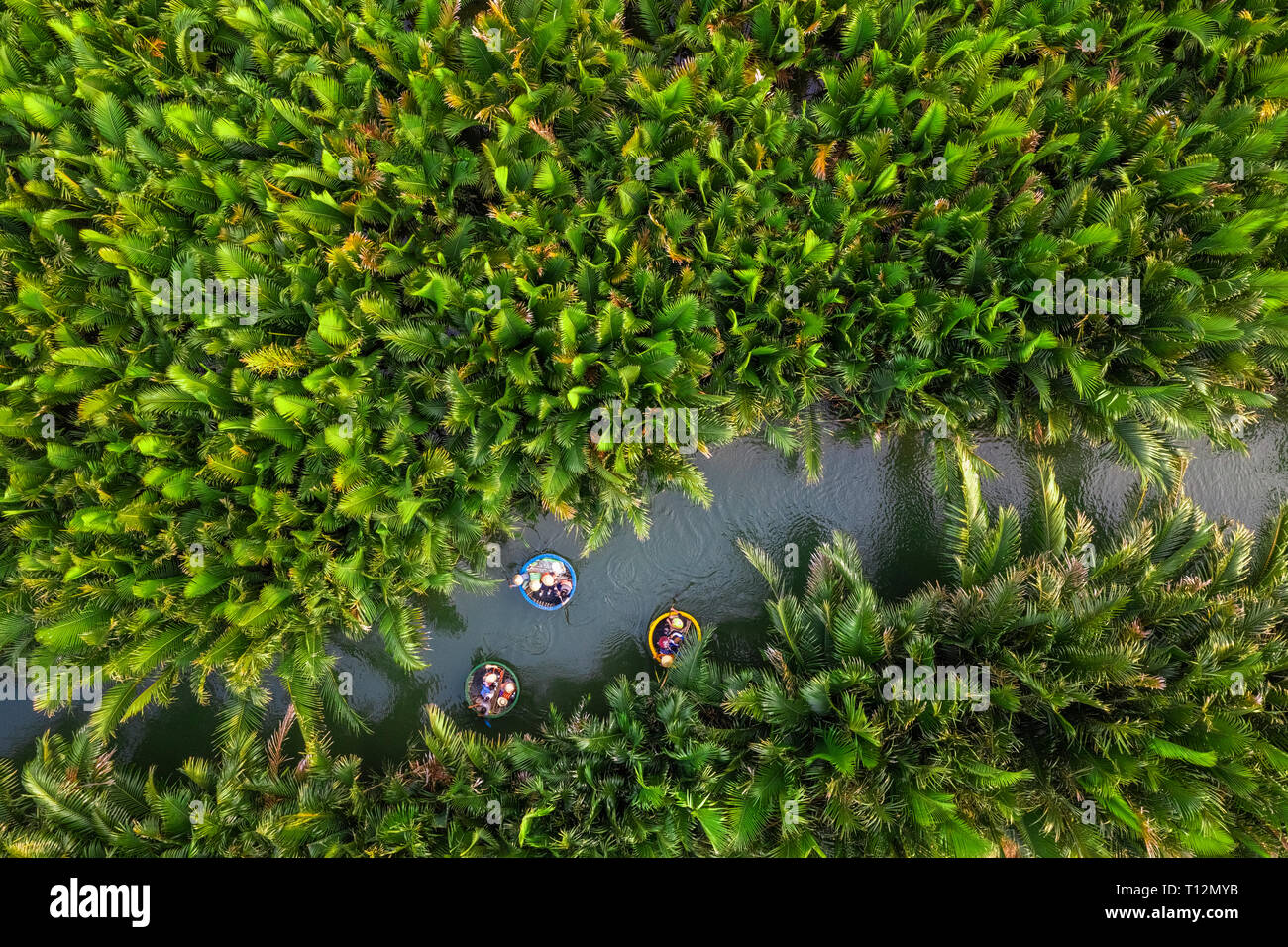 Luftaufnahme, Touristen aus China, Korea, Amerika, Russland einen Korb Bootstour auf der Kokosnuss Wasser (Mangrove Palm) Wald Hoi An, Quang Nam, Vietnam Stockfoto