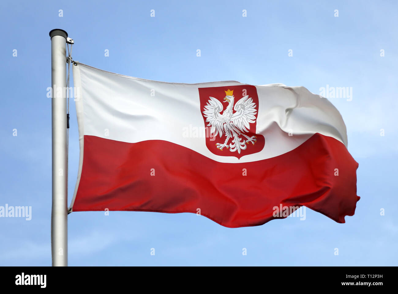 Flagge von Polen Stockfoto