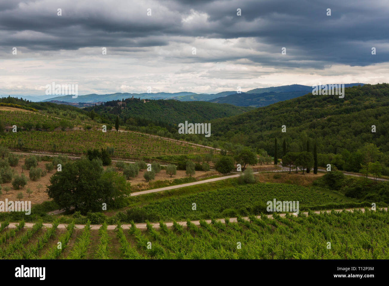 Ein Weingut in der Toskana, Italien. Stockfoto