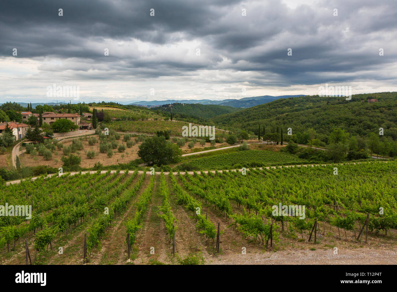 Ein Weingut in der Toskana, Italien. Stockfoto