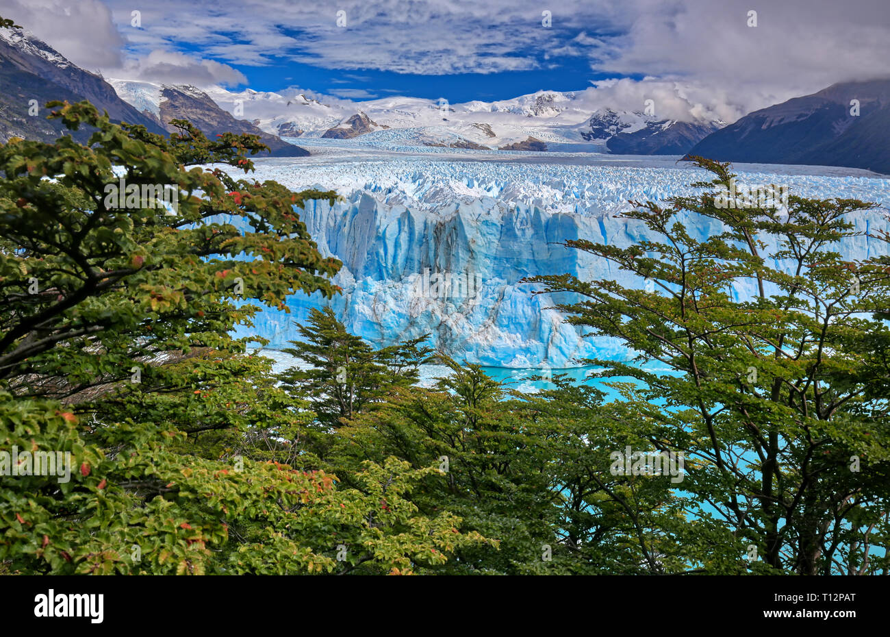 Perito Moreno Gletscher im Los Glaciares Nationalpark N.P. (Argentinien) Stockfoto