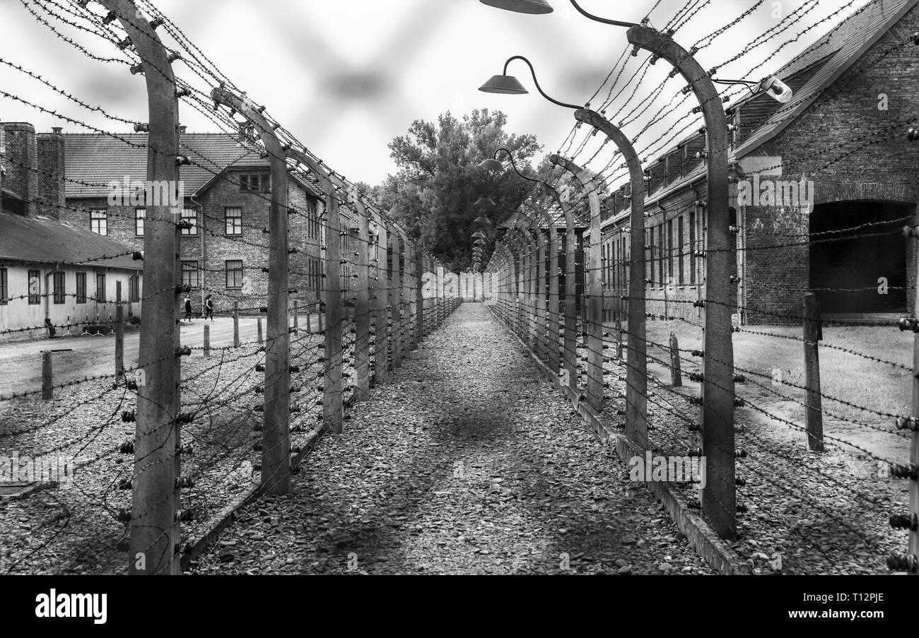 Stacheldraht Einzäunung im KZ Auschwitz Stockfoto