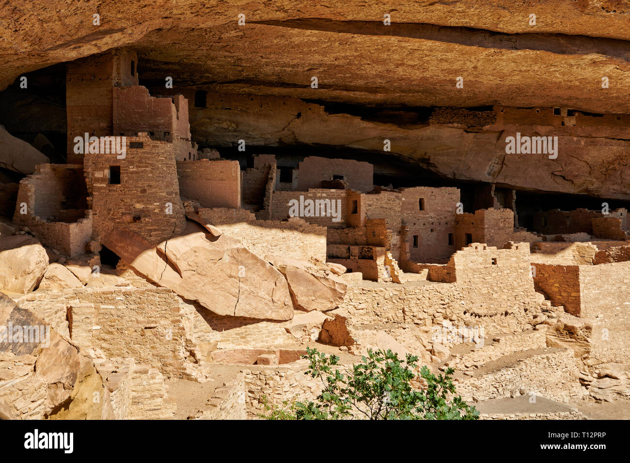 Cliff Palace, Cliff dwellings in Mesa-Verde-Nationalpark, UNESCO-Weltkulturerbe, Colorado, USA, Nordamerika Stockfoto