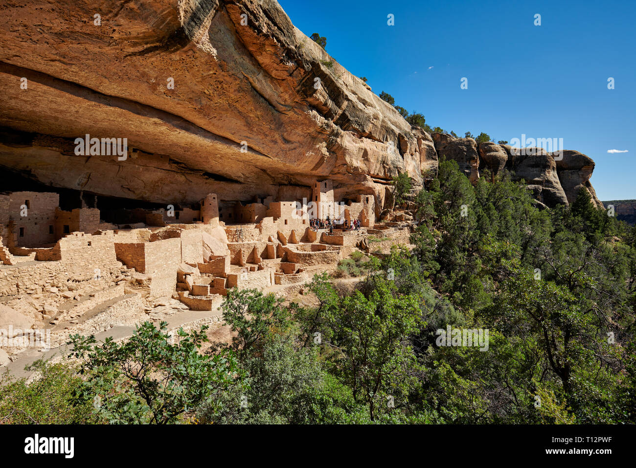 Cliff Palace, Cliff dwellings in Mesa-Verde-Nationalpark, UNESCO-Weltkulturerbe, Colorado, USA, Nordamerika Stockfoto