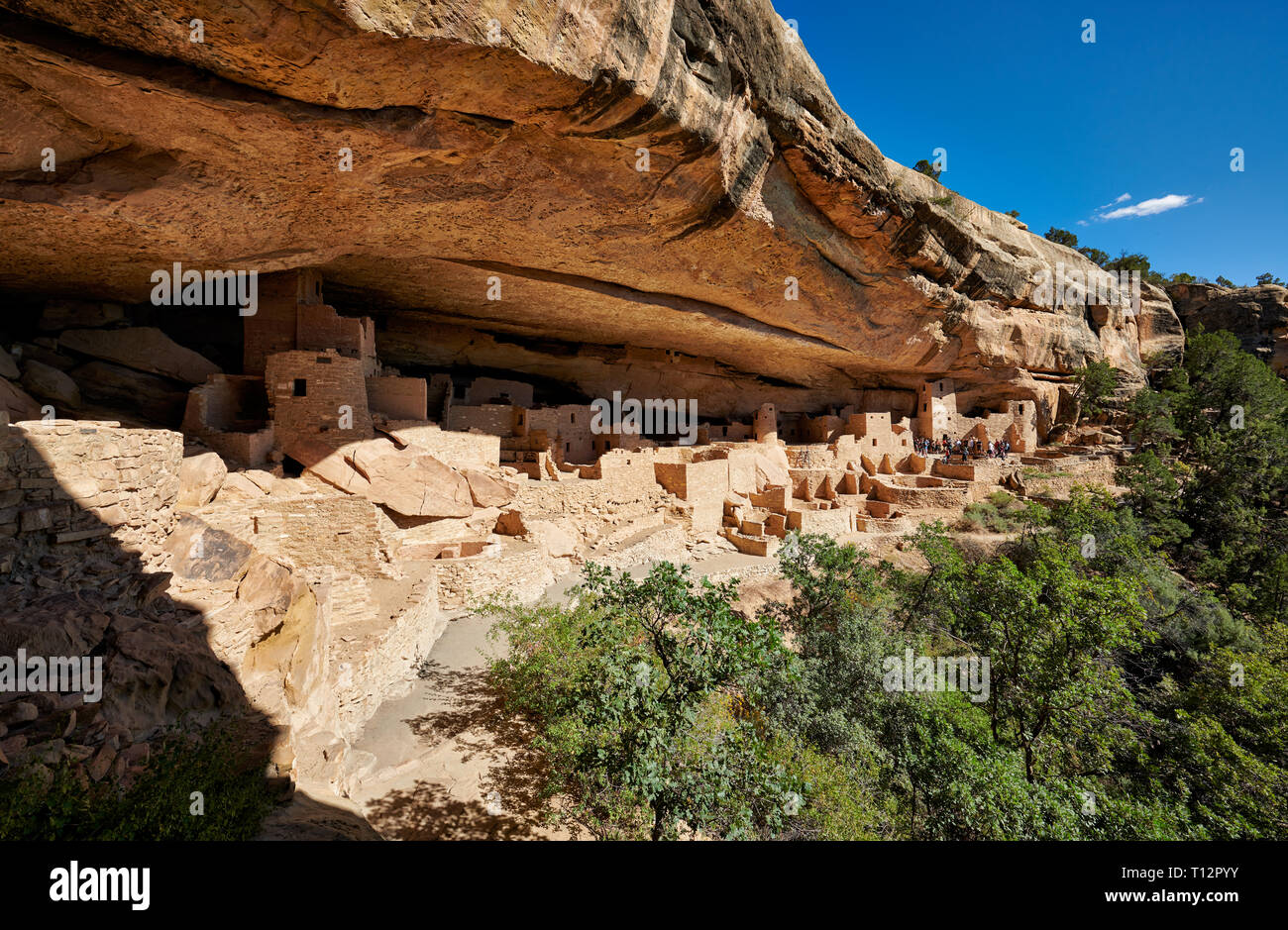 Cliff Palace, Cliff dwellings in Mesa-Verde-Nationalpark, UNESCO-Weltkulturerbe, Colorado, USA, Nordamerika Stockfoto