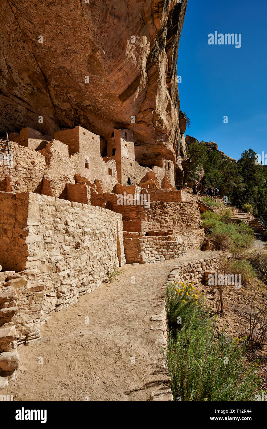 Cliff Palace, Cliff dwellings in Mesa-Verde-Nationalpark, UNESCO-Weltkulturerbe, Colorado, USA, Nordamerika Stockfoto