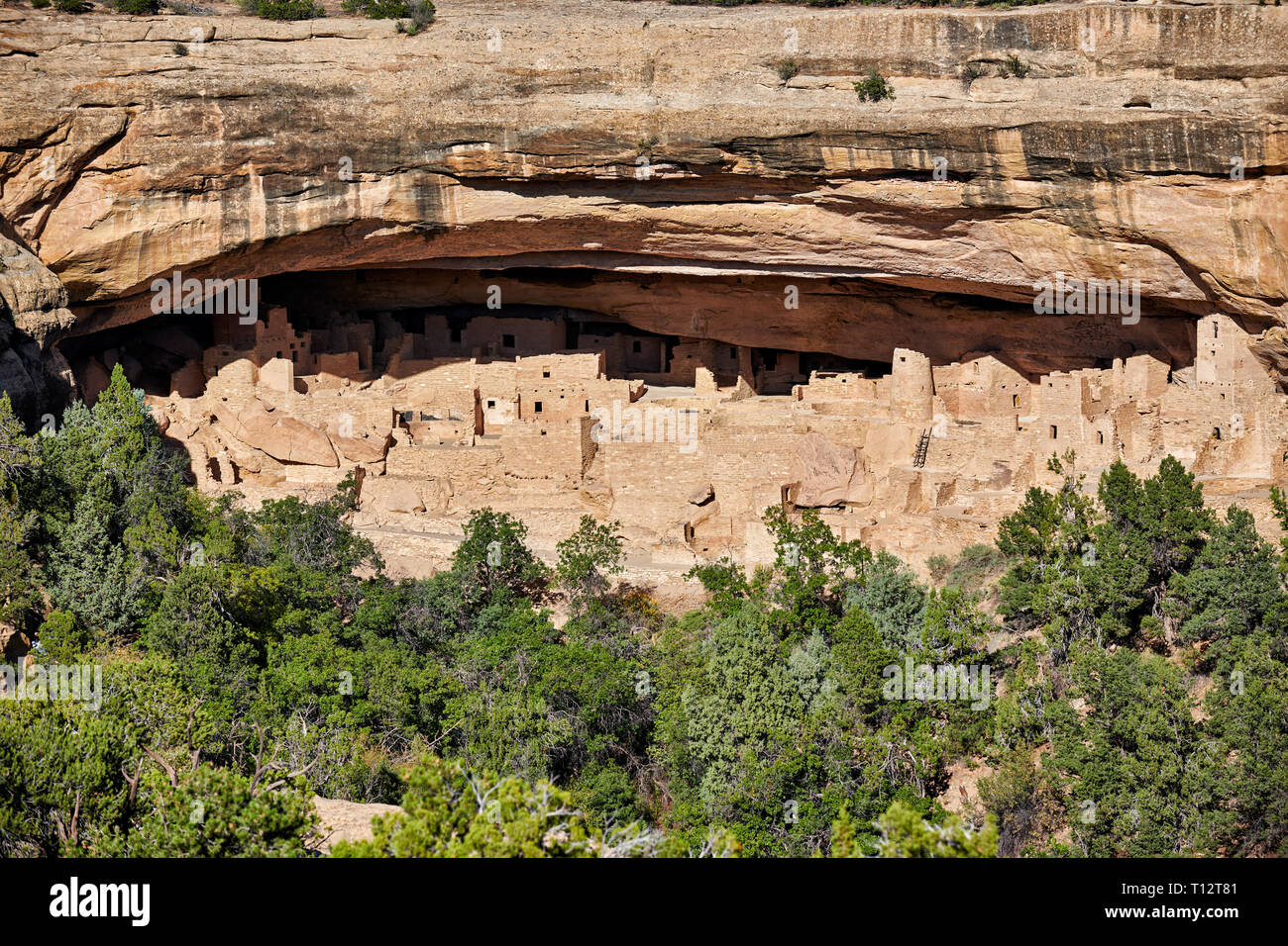 Cliff Palace, Cliff dwellings in Mesa-Verde-Nationalpark, UNESCO-Weltkulturerbe, Colorado, USA, Nordamerika Stockfoto