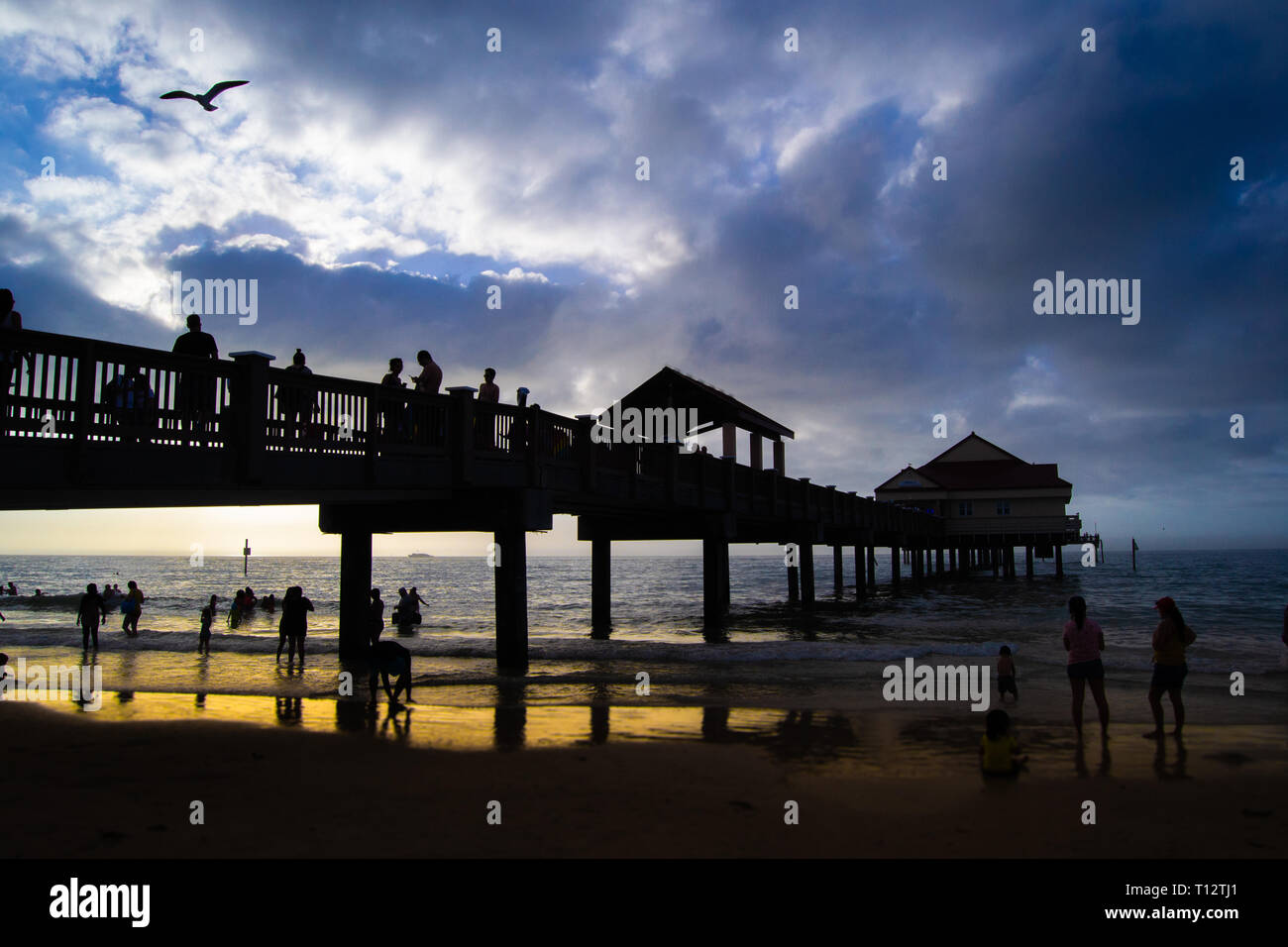 Nacht an einem Strand in Florida Stockfoto
