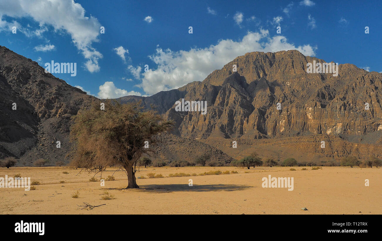 Fantastische Bergwelt. Ru'us al Jibal. al Hajar Berge. Musandam. Oman Stockfoto