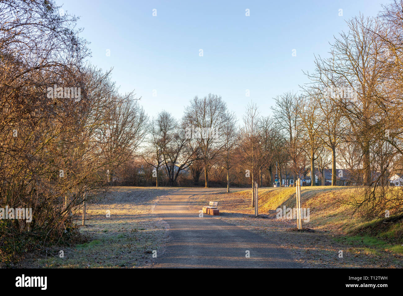 Schöner Frühling Landschaft am Morgen Park in Frankenthal Stockfoto