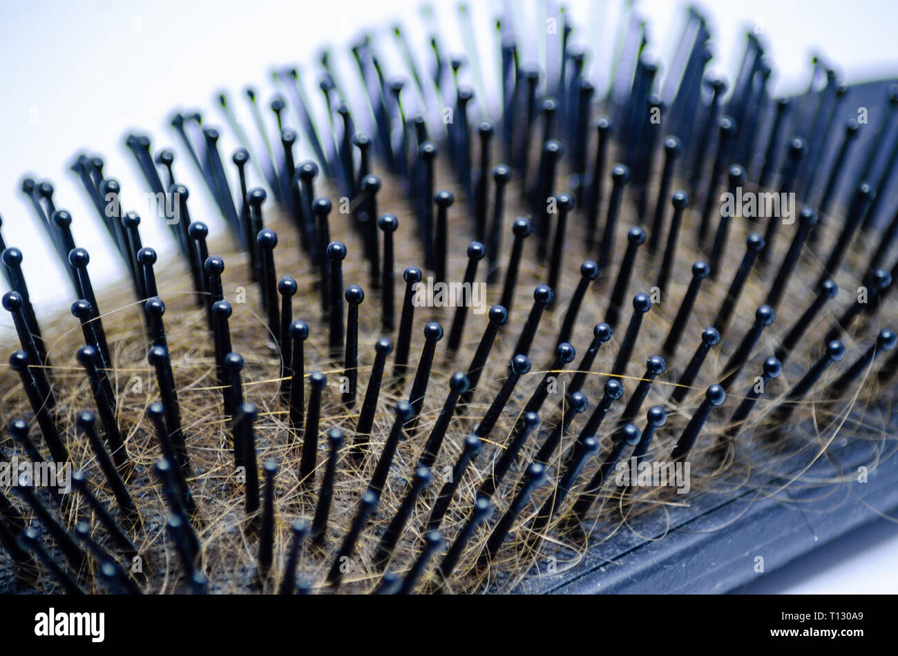 Nahaufnahme einer Haarbürste mit Haar Stockfoto
