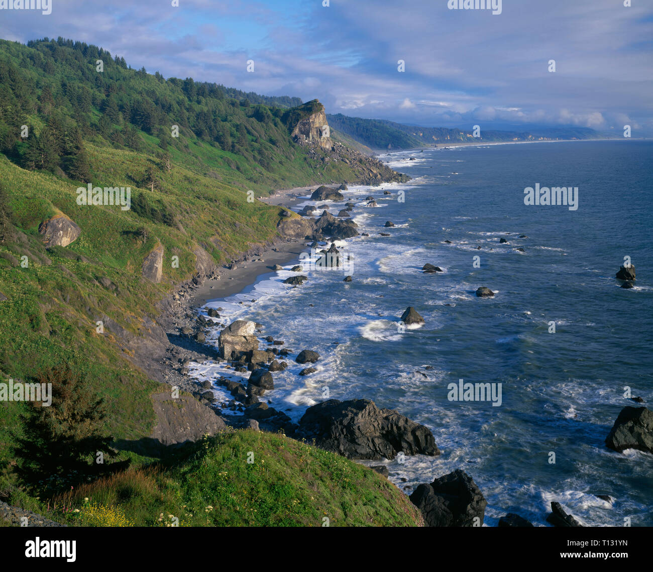 USA, California Redwood National und State Parks, Ansicht Süd Küste von hohen Bluff in Richtung Split Rock übersehen. Stockfoto