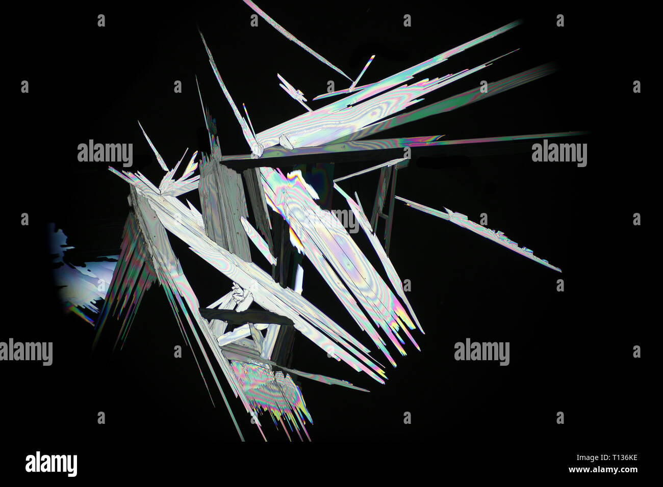 Kristalle von dimethylglyoxime, Mikroskop Bild. Stockfoto