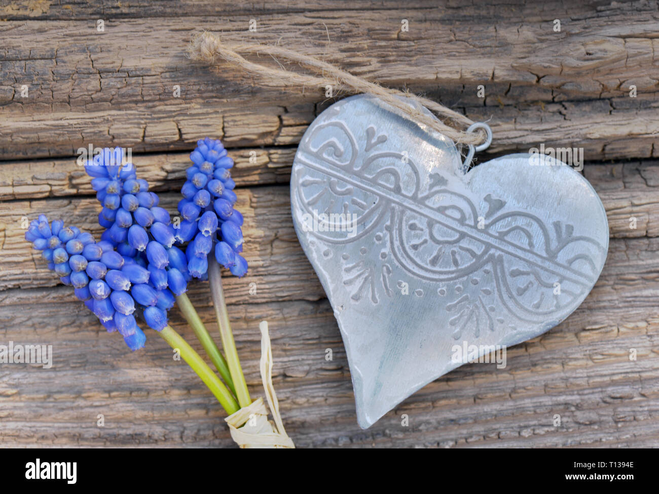 Feder blau Blumen und Eisen Herz auf einem urigen Board Stockfoto