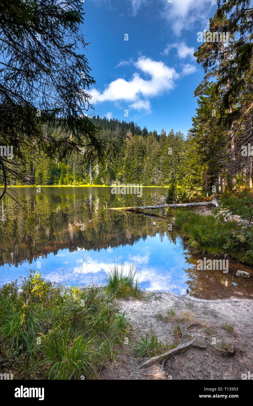 Natürliche Szene der Wildsee, Ruhestein, Baiersbronn im Schwarzwald, Deutschland, Naturschutzgebiet und Nationalpark Stockfoto