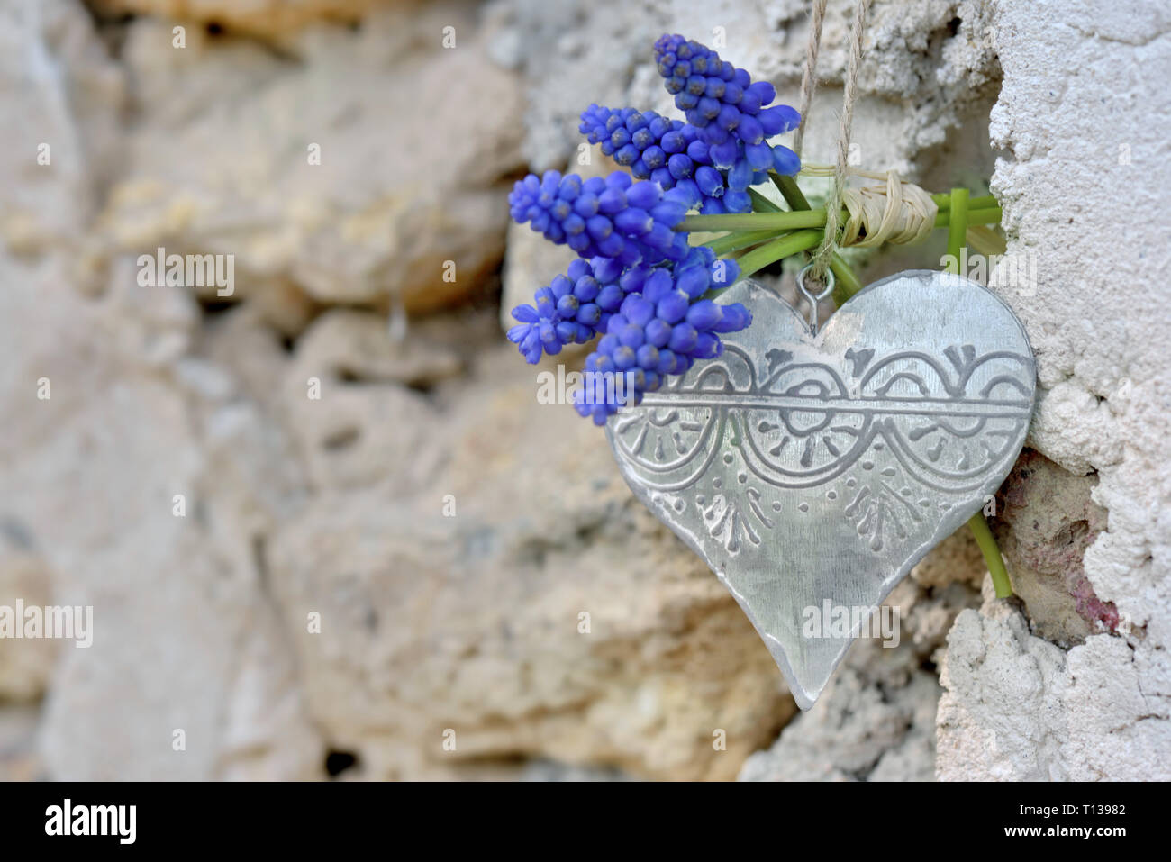 Frühling Blumen und Bügeleisen Herzen auf einer Outdoor gesteinigt Wand aufgehängt Stockfoto