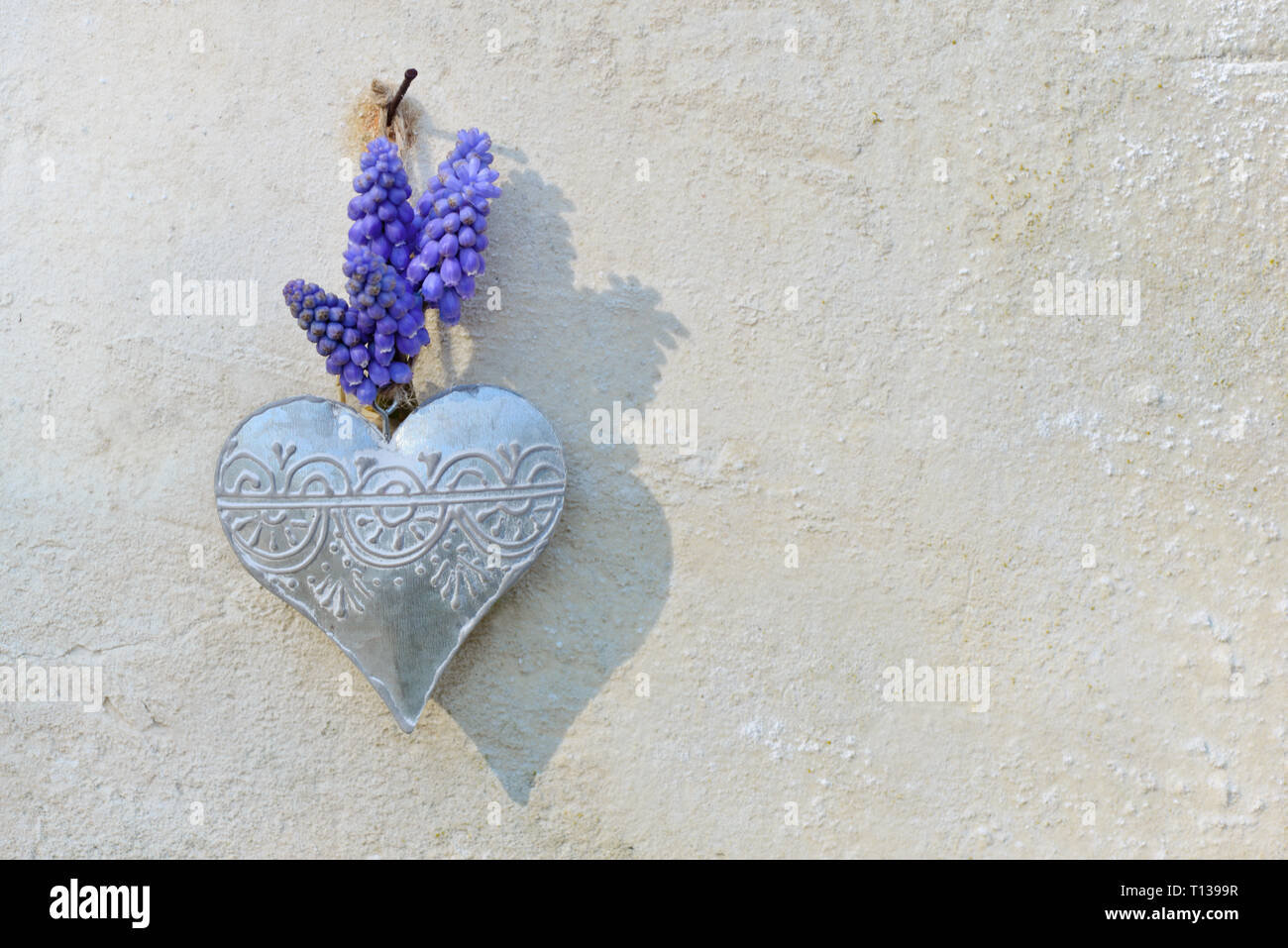 Frühling Blumen und Bügeleisen Herzen auf einer freien Wand aufgehängt Stockfoto