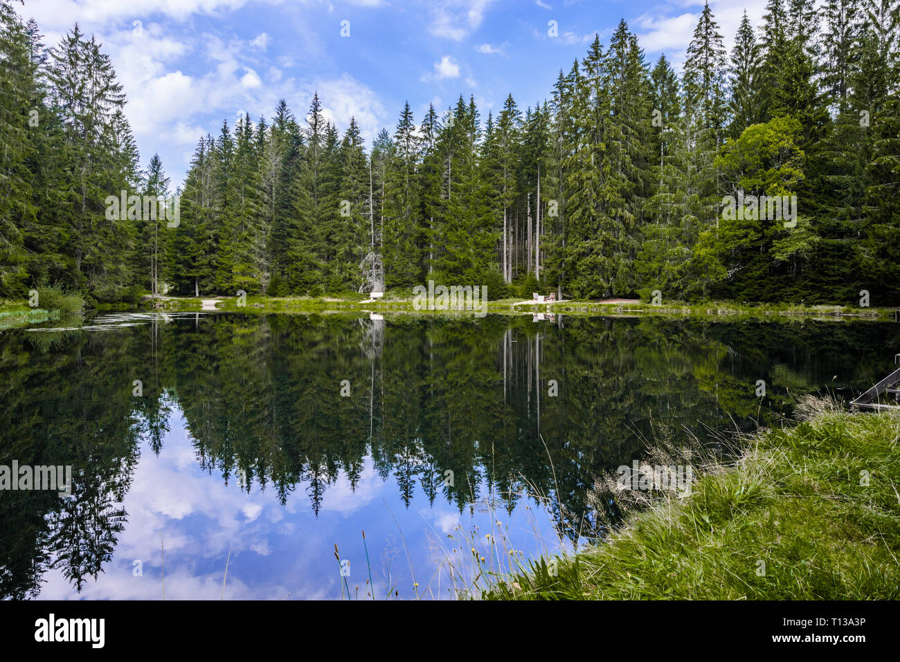 Künstlicher See Sandsee im Nördlichen Schwarzwald, Deutschland, Gemeinschaft Bühl, ehemaliger Wasserspeicher für Holztransport Stockfoto