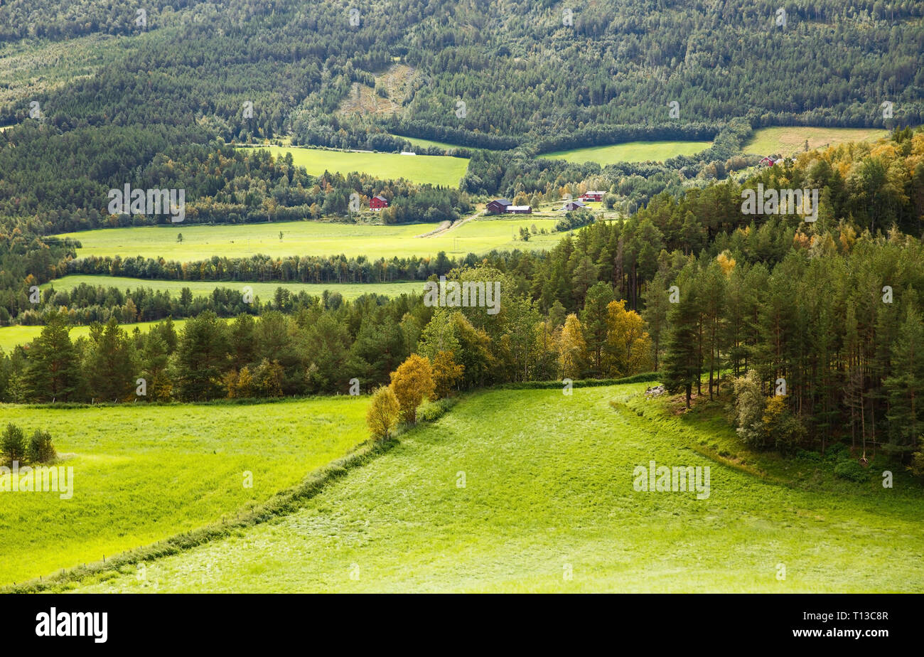 Landschaft mit ländlichen Ort in Norwegen. Stockfoto