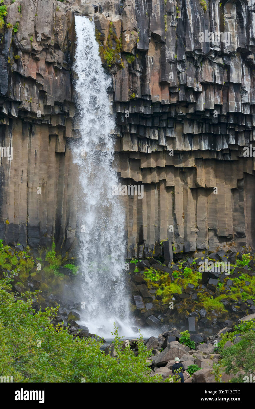 Svartifoss Wasserfall von Basaltsäulen, Skaftafell, Vatnajökull National Park, Island umgeben Stockfoto