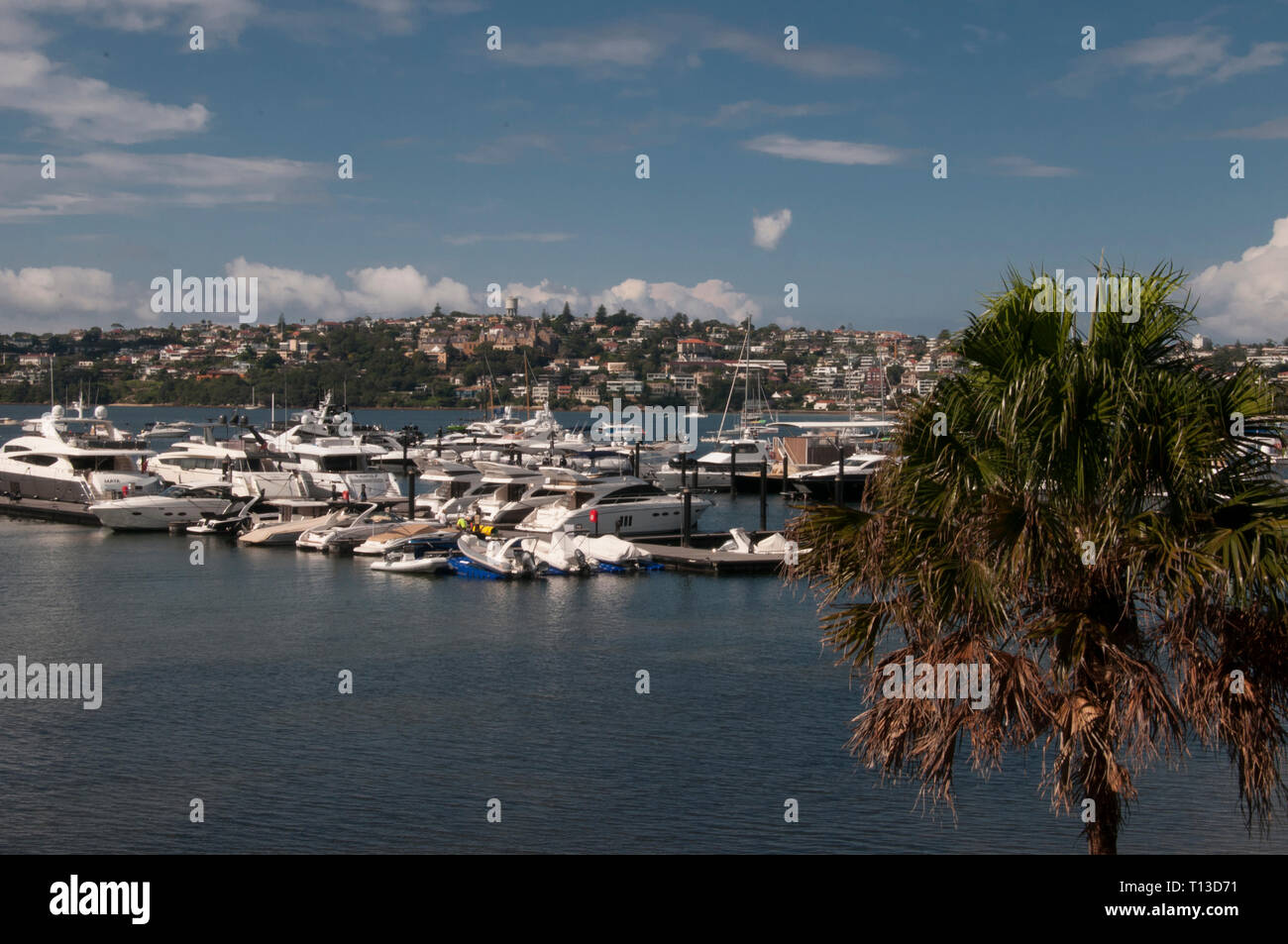 Marina an der Rose Bay, Sydney Stockfoto