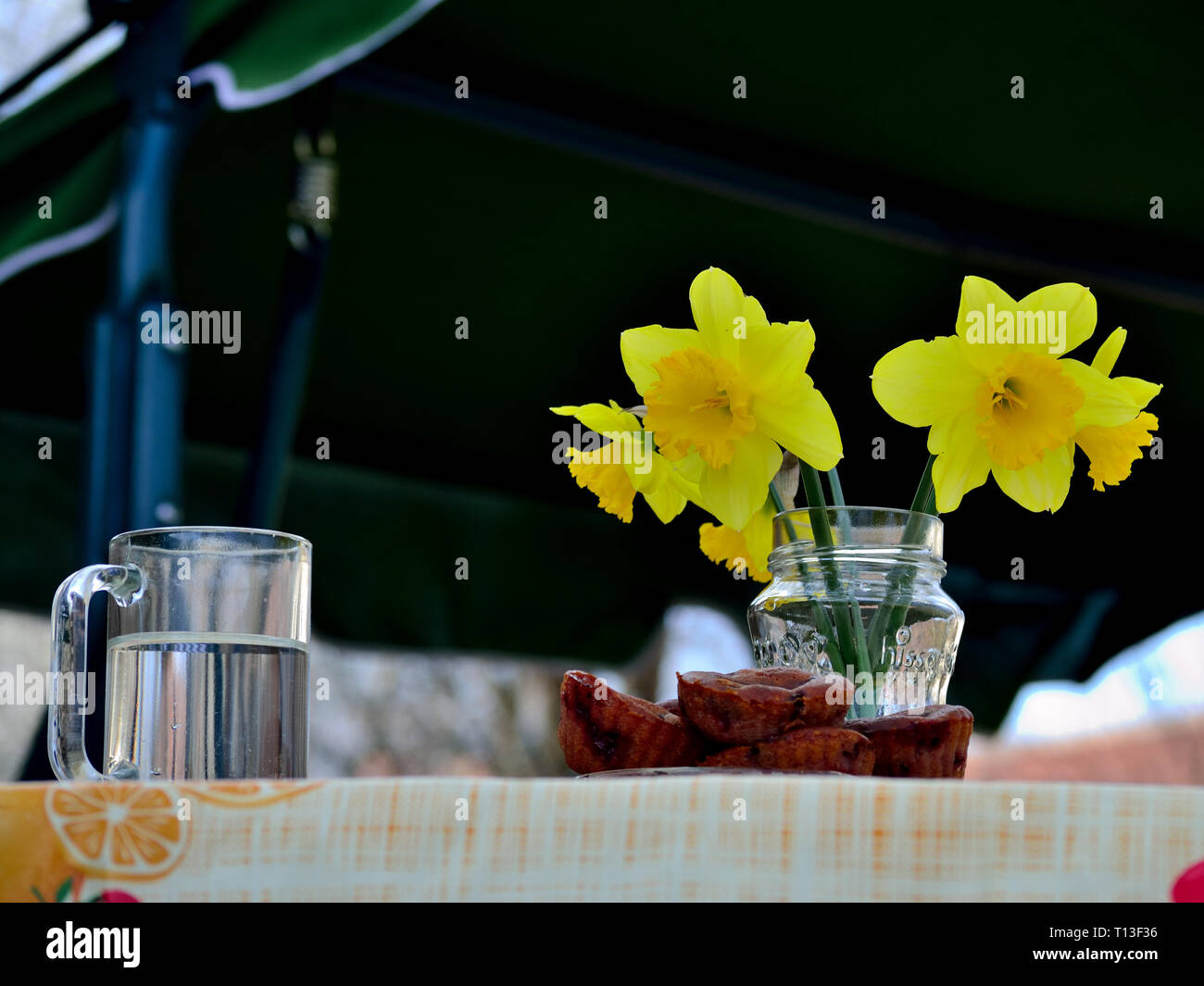 Narzisse Blumen im Glas Stockfoto