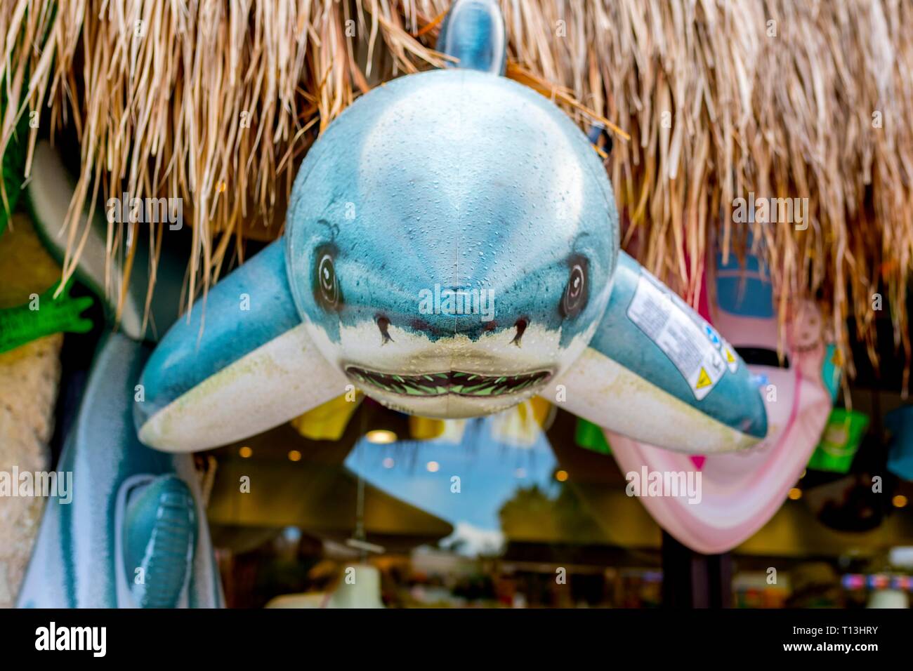 Die hellen und farbenfrohen great white shark aufblasbare Spielzeuge außerhalb einen Souvenir Shop in einem Beach Resort in der Karibik an der Riviera Maya in Mexiko. Stockfoto