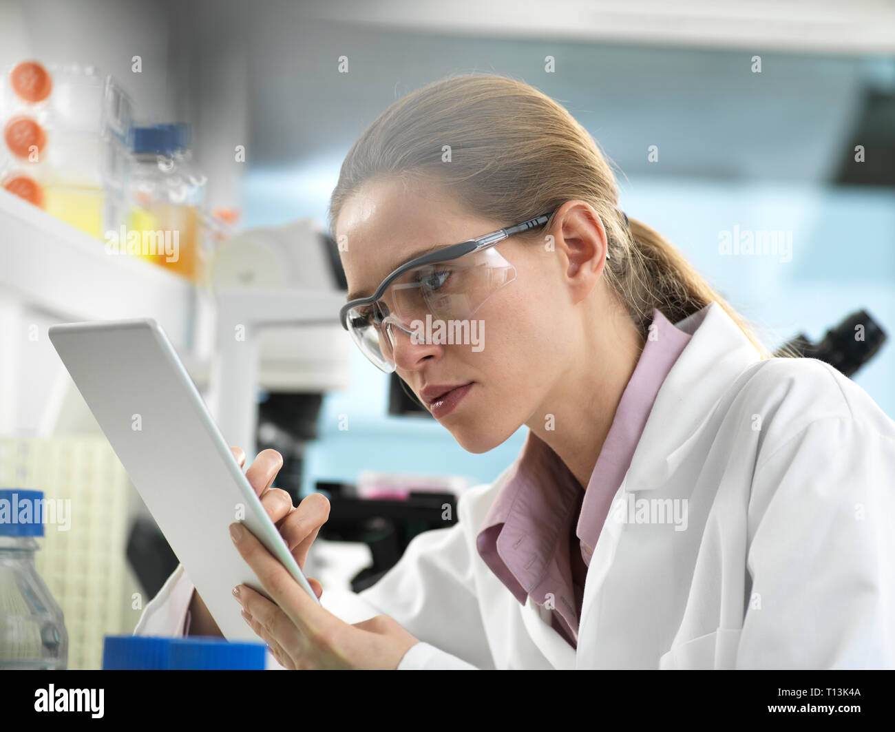 Wissenschaftler Hinzufügen von Daten zu einer Tablette bei einem Experiment im Labor Stockfoto