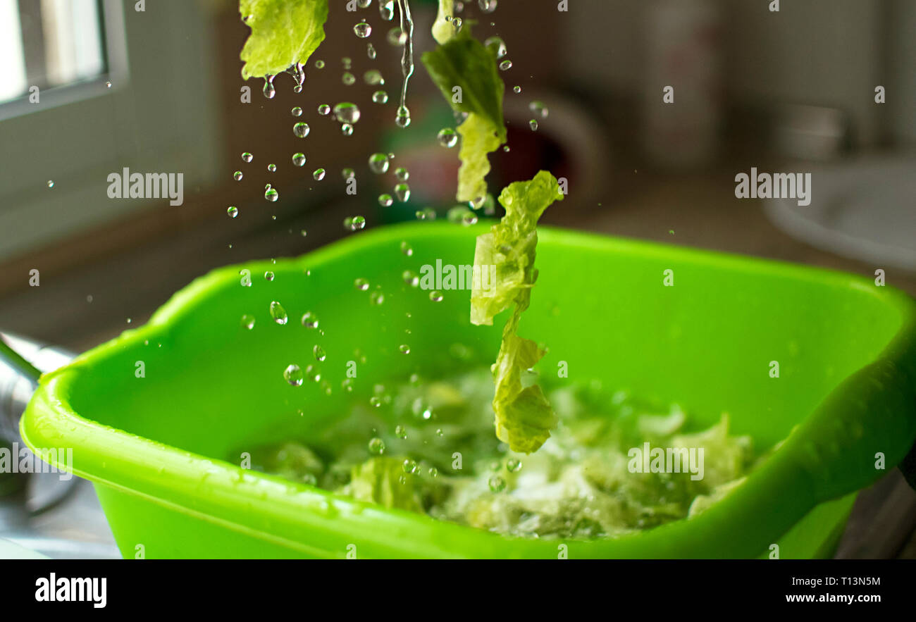 Gewaschen und desinfiziert Kopfsalat. Tropfen Wasser und Stücke von Kopfsalat in Bewegung Stockfoto