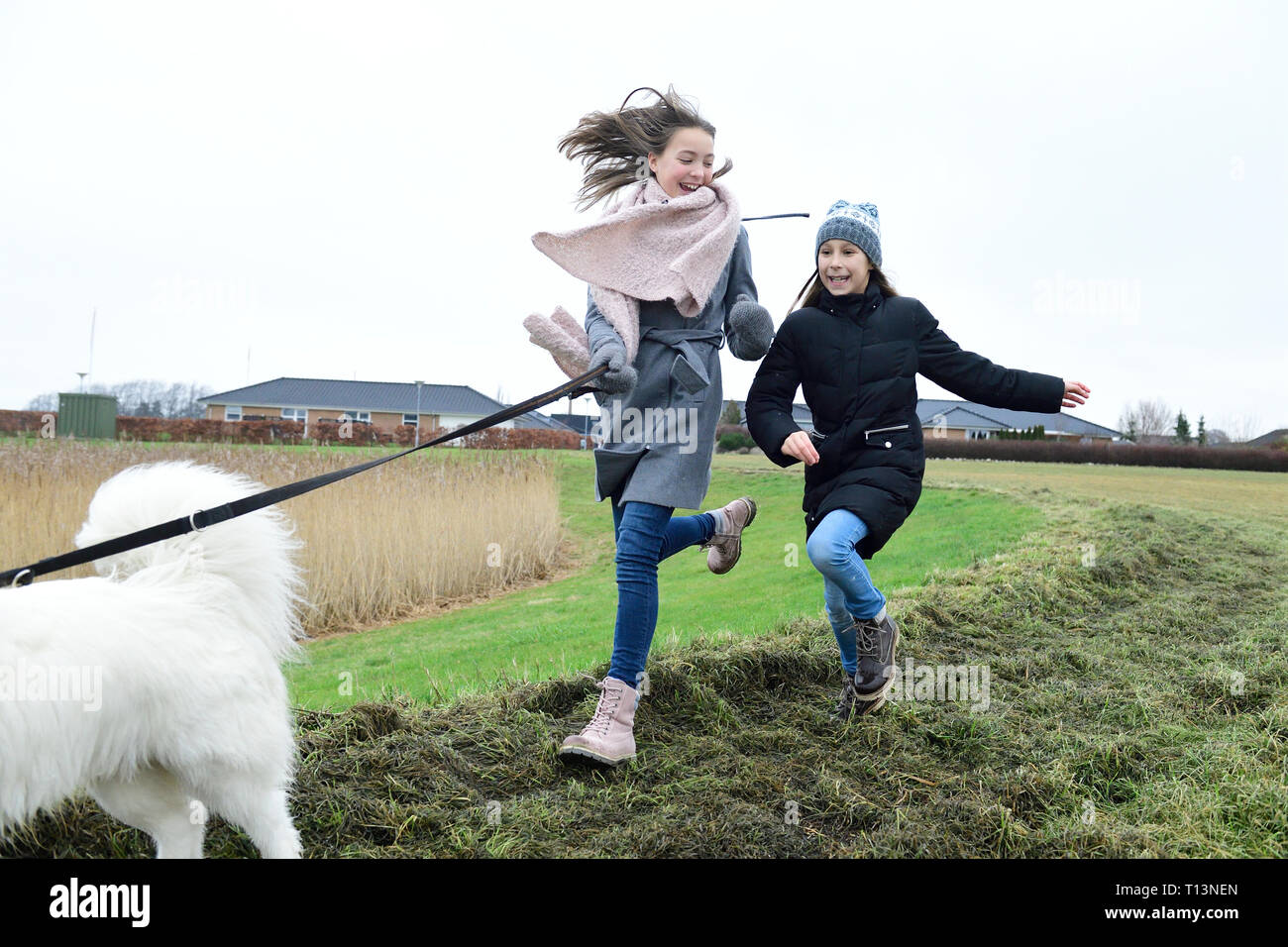 Zwei Mädchen, die auf einer Wiese mit Hund Spaß Stockfoto