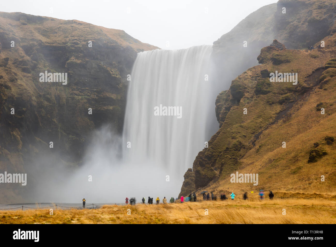 Island, Touristen am Wasserfall Skogafoss Stockfoto