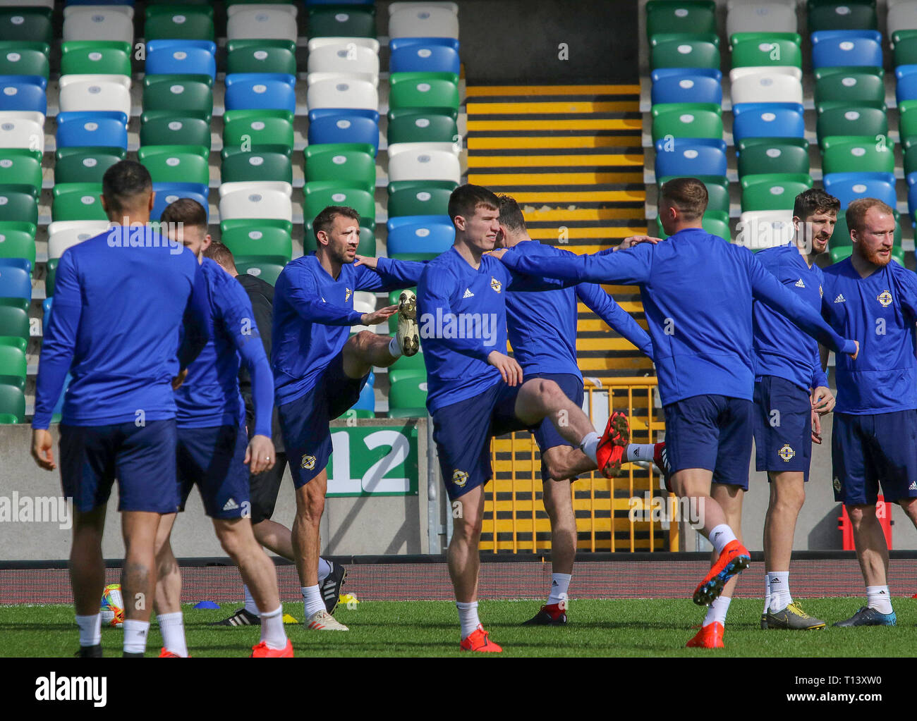 Windsor Park, Belfast, Nordirland. 23. März 2019. Nordirland Ausbildung in Belfast heute Morgen vor ihren UEFA EM-Qualifikationsspiel 2020 gegen Weißrussland morgen Abend im Stadion. Quelle: David Hunter/Alamy Leben Nachrichten. Stockfoto