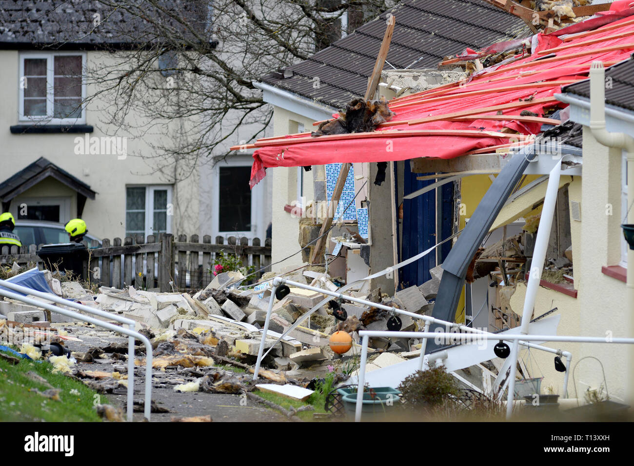 Scheune Park, Buckfastleigh, South Devon, Großbritannien. 23. Mär 2019. - Foto vorgeschrieben durch-line: Andy Stile TQAS 20190323 A-020 C Credit: Andy Stile Fotografie/Alamy leben Nachrichten Stockfoto