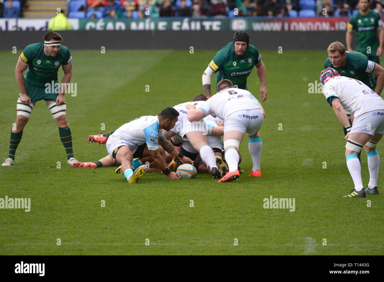 Reading, Berkshire, Großbritannien. 23 Mär, 2019. London Irish vs Doncaster Ritter Rugby im Madejski Stadium 02/03/19 Kick off 14.30. Quelle: David Hammant/Alamy leben Nachrichten Stockfoto