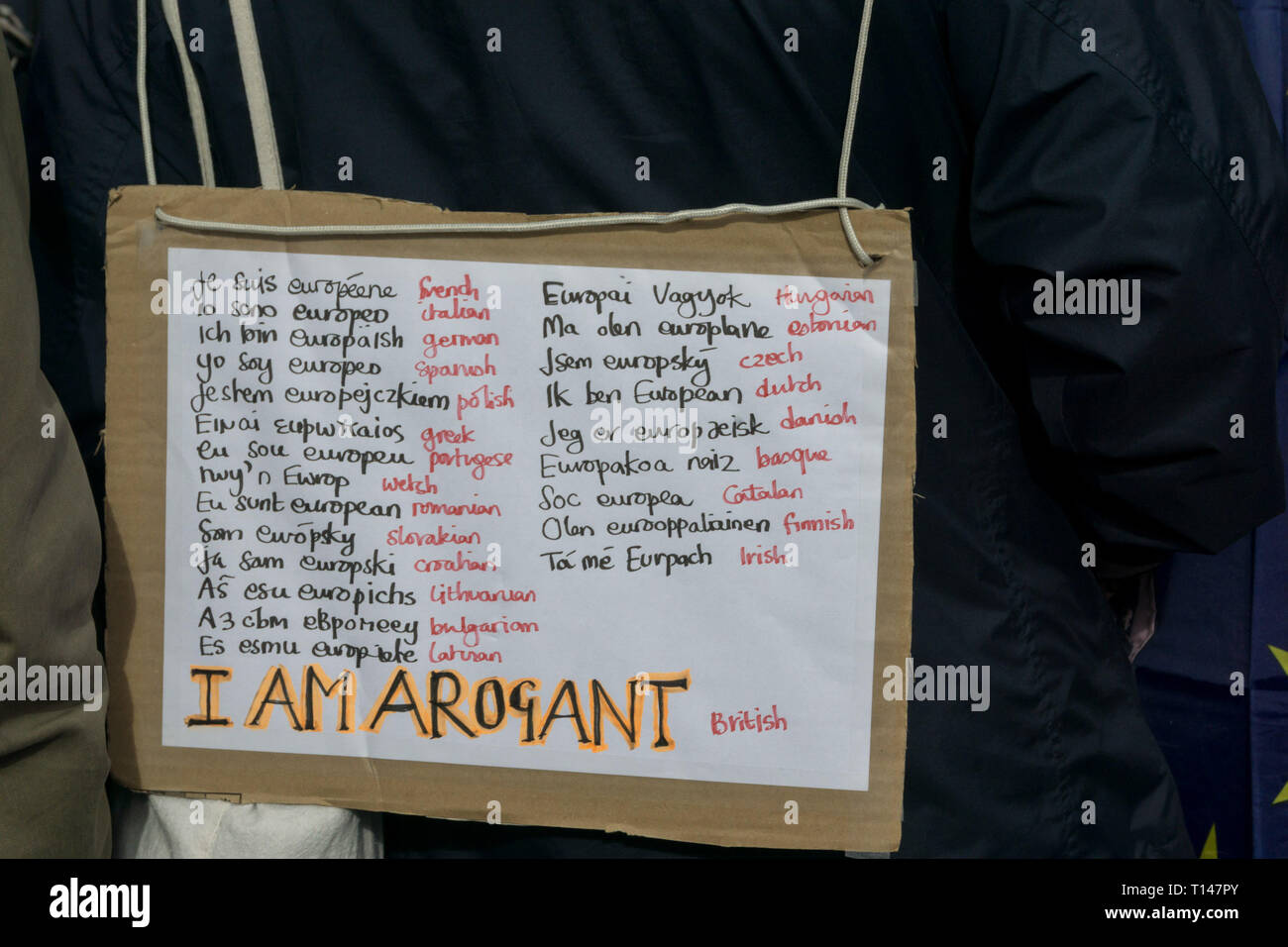 London, Großbritannien. 23. März 2019. Über 1.000.000 Menschen geschätzt Teil im März für einen Menschen heute genommen zu haben, von der Park Lane bis Parliament Square in London. Urban Images-News/Alamy leben Nachrichten Stockfoto