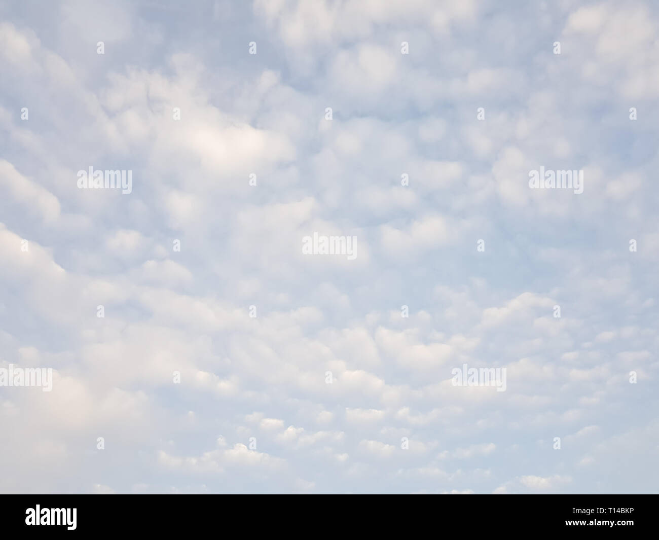 Hellblauer Himmel mit vielen kleinen Zirruswolken - hellblauer Himmel Hintergrund. Stockfoto