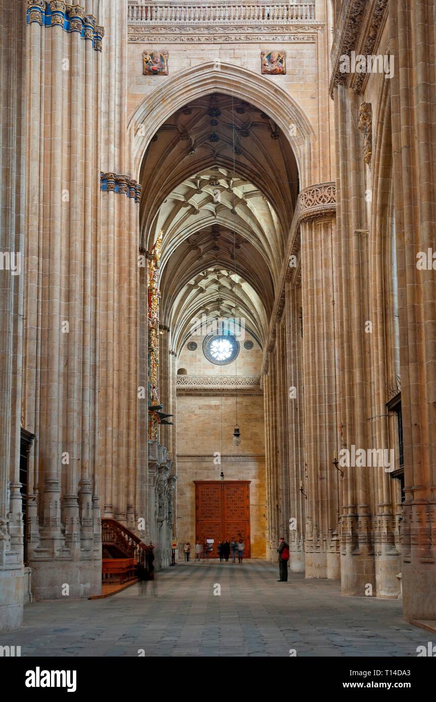 Neue Kathedrale - Interieur, 16. Jahrhundert, Salamanca, Region Castilla y Leon, Spanien, Europa. Stockfoto