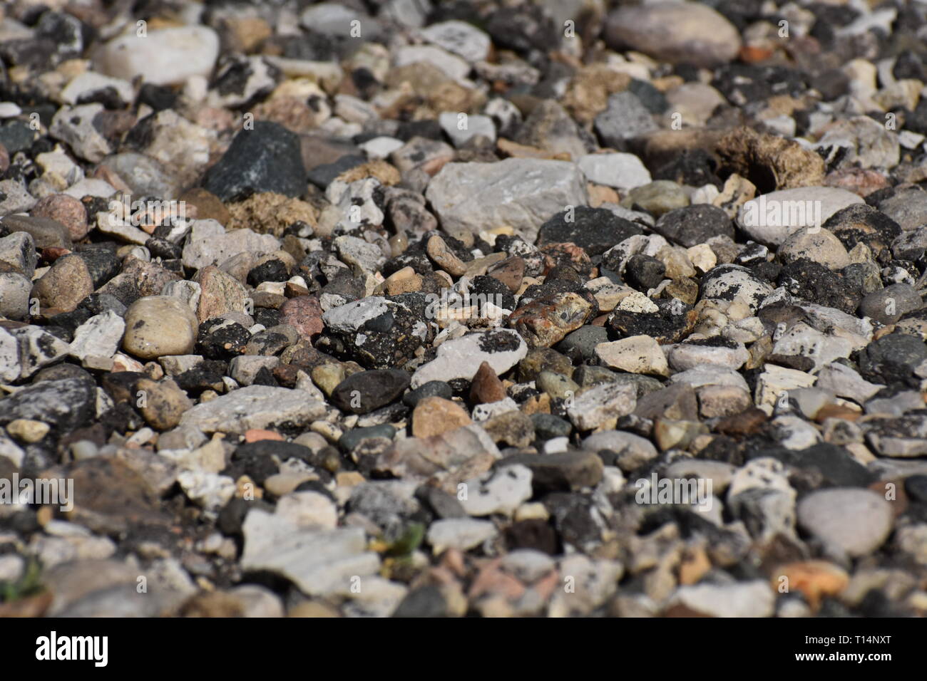 Stein Hintergrund. Trockene Steine in verschiedenen Farben und Formen. Stockfoto