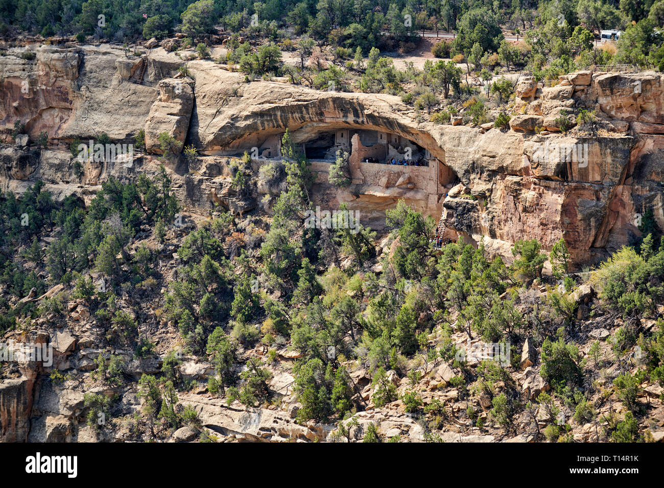 Blick aus der Vogelperspektive auf Balkon House, Cliff dwellings in Mesa-Verde-Nationalpark, UNESCO-Weltkulturerbe, Colorado, USA, Nordamerika Stockfoto