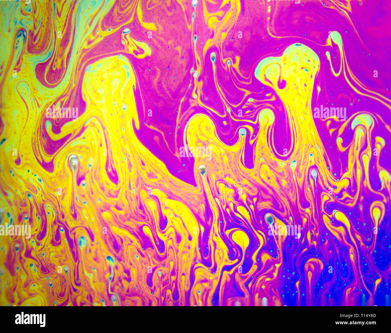 Psychedelic Hintergrund. Universum der Blumen. Concept Art Design. Mehrfarbiger Hintergrund, abstrakte Muster Stockfoto