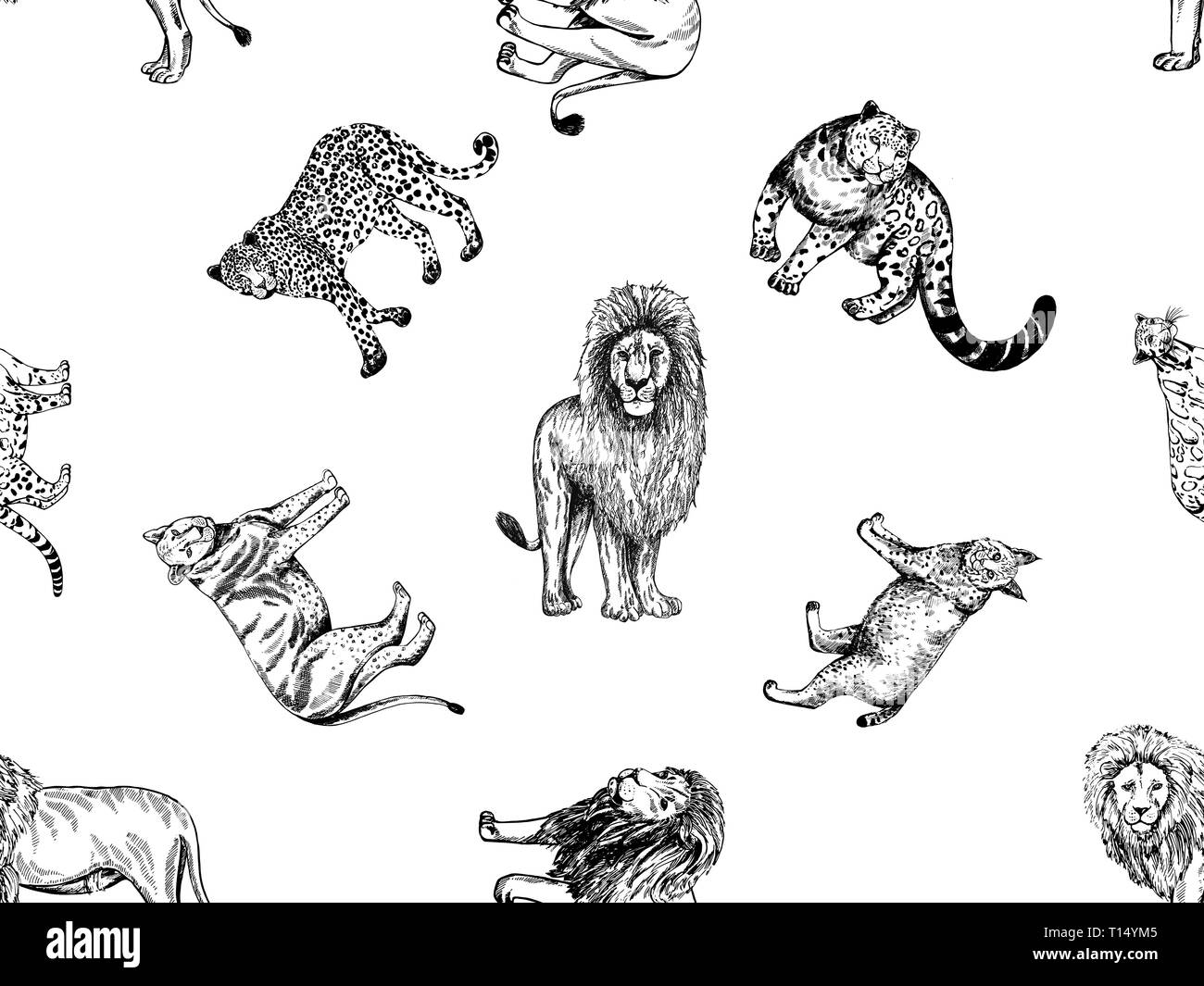 Nahtlose Muster von Hand gezeichnete Skizze Style Big Cats auf weißem Hintergrund. Vector Illustration. Stock Vektor
