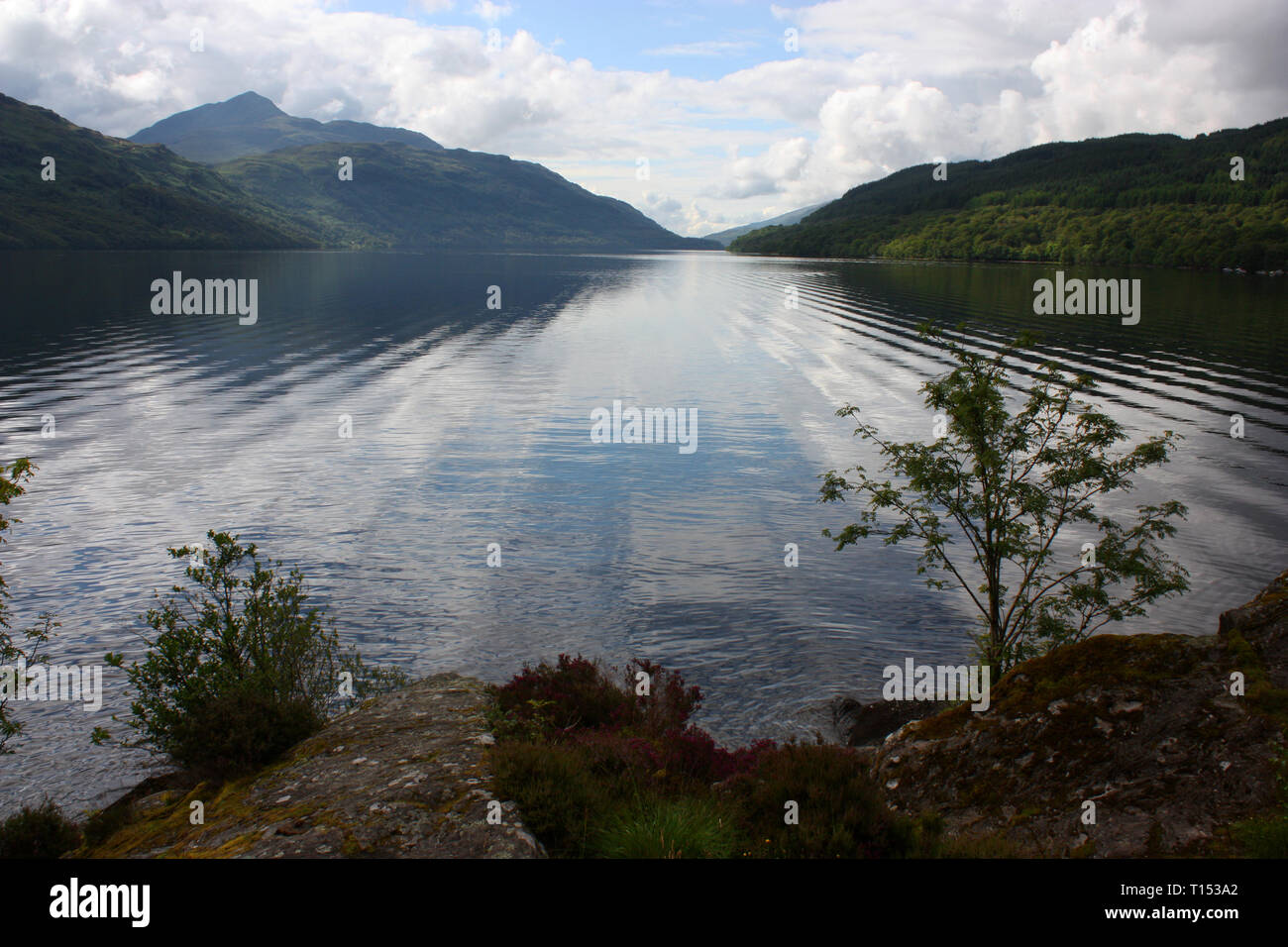 Schottland - Landschaft von Loch Lomond Stockfoto